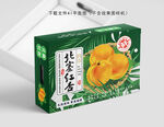 北寨红杏设计