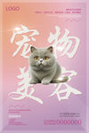 宠物美容
