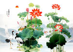 国画荷花