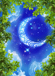 星空 树枝