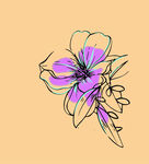 花花撞色插画