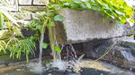 流水素材