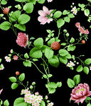 数码印花