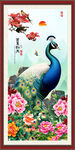 国画孔雀