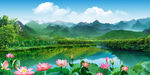 荷花山水风景画