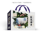 盐池滩羊设计