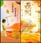 中式地产