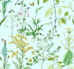 植物花草设计