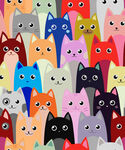 猫猫