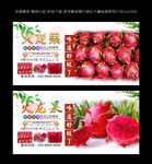 火龙果  