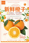 橙子