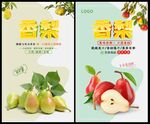 香梨