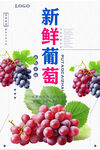 葡萄