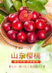 樱桃