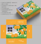 橙子包装 水果盒子