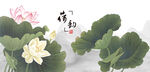 荷花国画荷花