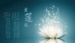 莲花