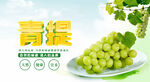 阳光玫瑰