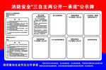 三自主两公开