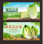 白菜