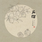 石榴线描