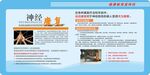 神经内科文化墙