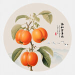 国画柿子