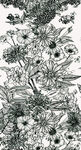 大牌花