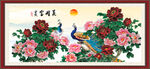 牡丹花