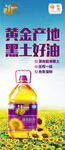 黄金产地黑土好油