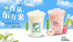 茉莉轻乳茶系列  蜜桃乌龙