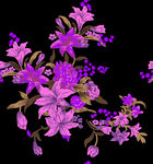 花