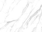 高雅 极简新爵士白 TiF合层