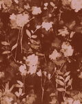 扎染花