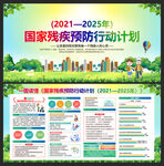 国家残疾预防行动计划 