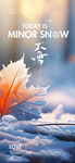 大雪