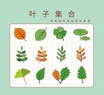 树叶矢量图