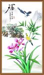 兰花