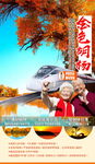 额济纳旗旅游海报