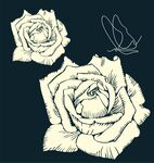 玫瑰花插画
