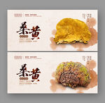 桑黄
