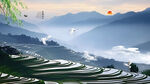 田园风光