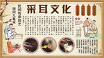 采耳文化背景墙