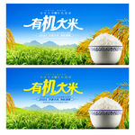 有机大米