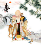 老寿星 