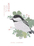 手绘鸟