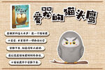 爱哭的猫头鹰