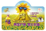 黄金产地葵花油
