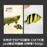金龙鱼虎鱼水族观赏鱼海报壁纸