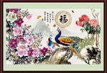 牡丹花 
